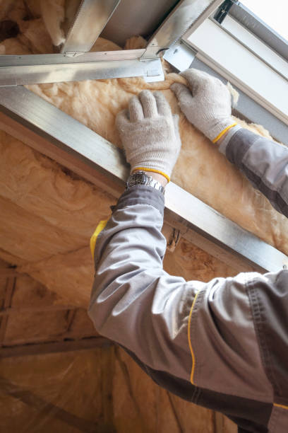 Best Insulation Installation Services in Unionville, MO